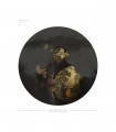 Dots Lighting Gentleman Moth - Wallcolors  - Exklusive Hintergrundbilder