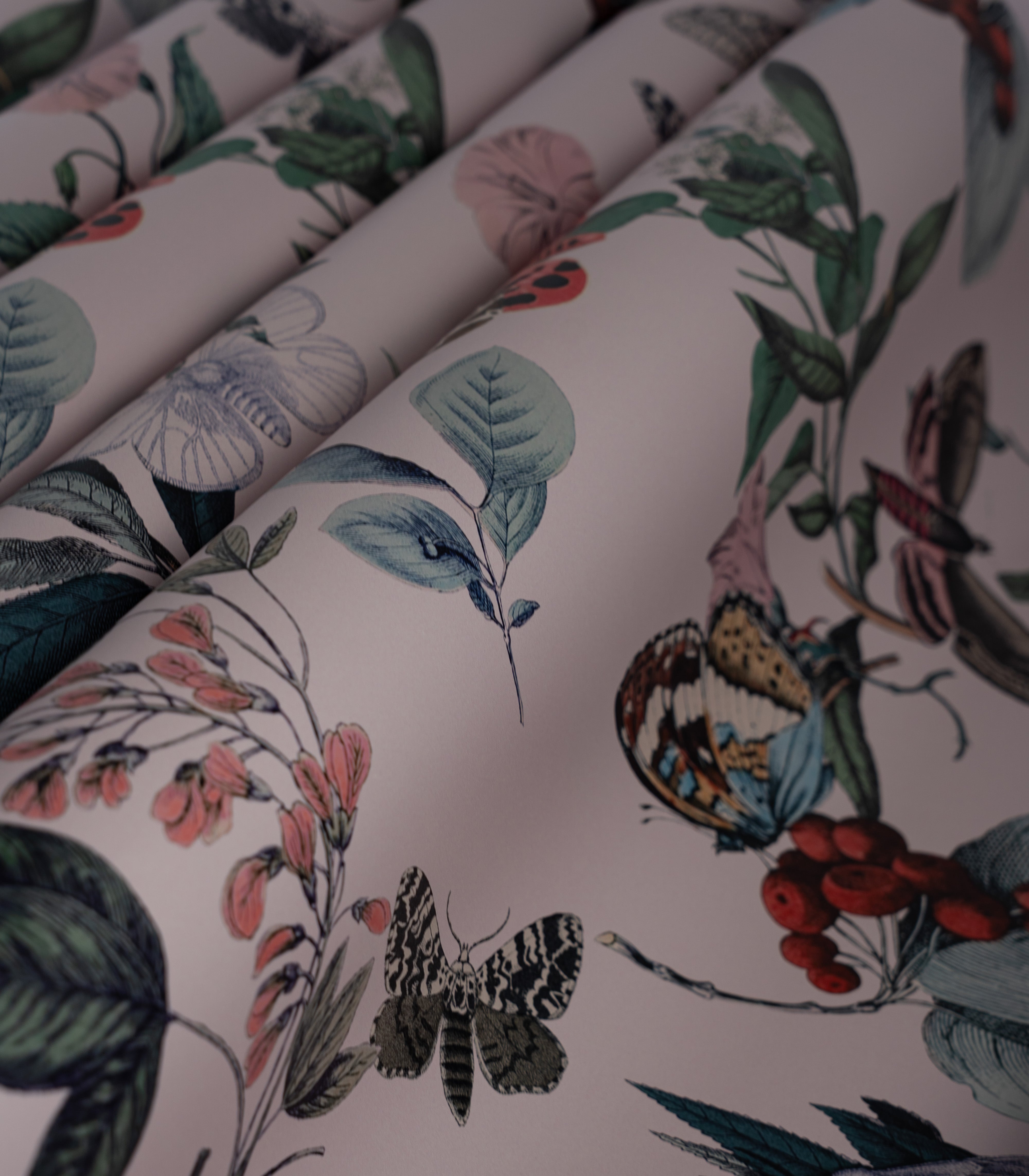 Tapeta Butterfly Rowan Pink