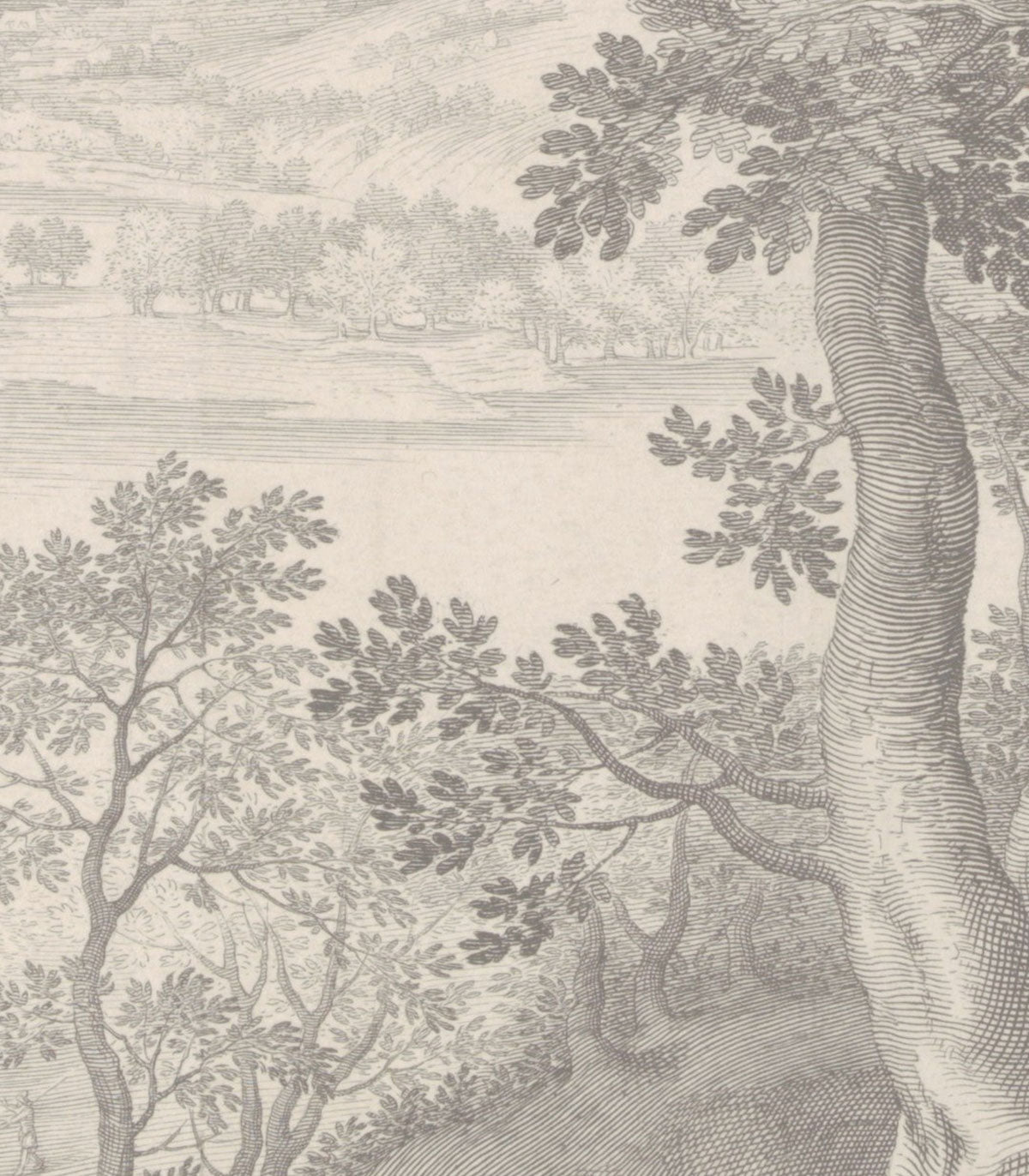 Tapeta Ethereal Forest Beige