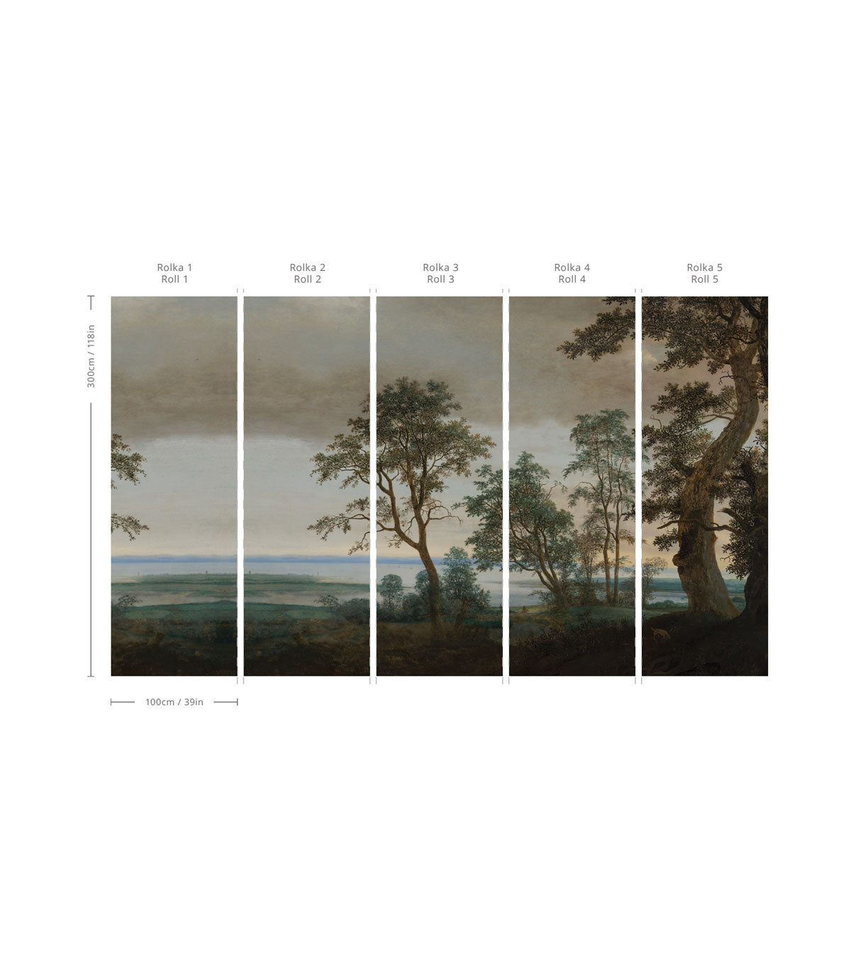 Tapeta Evening Grove