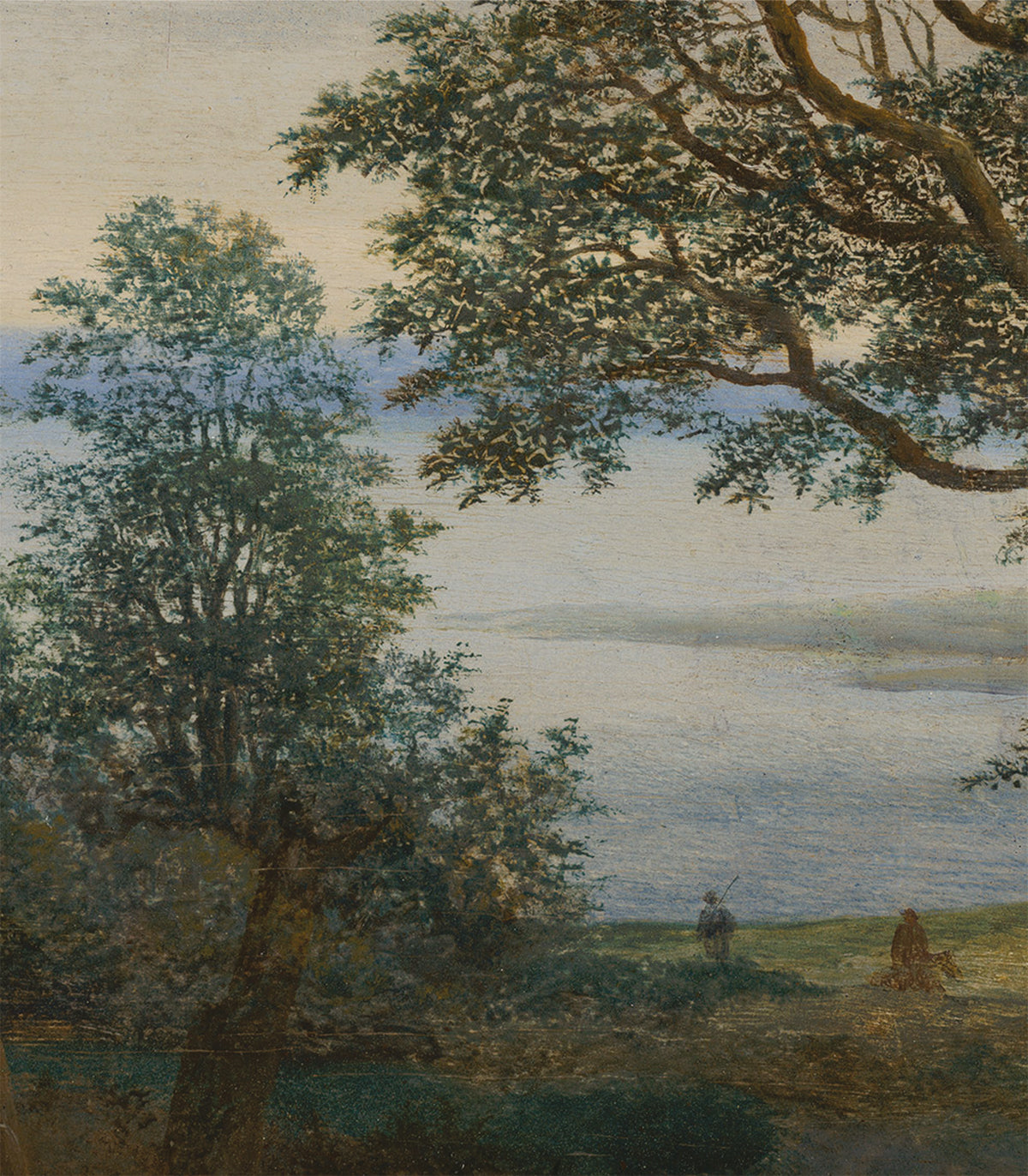 Evening Grove Wallpaper