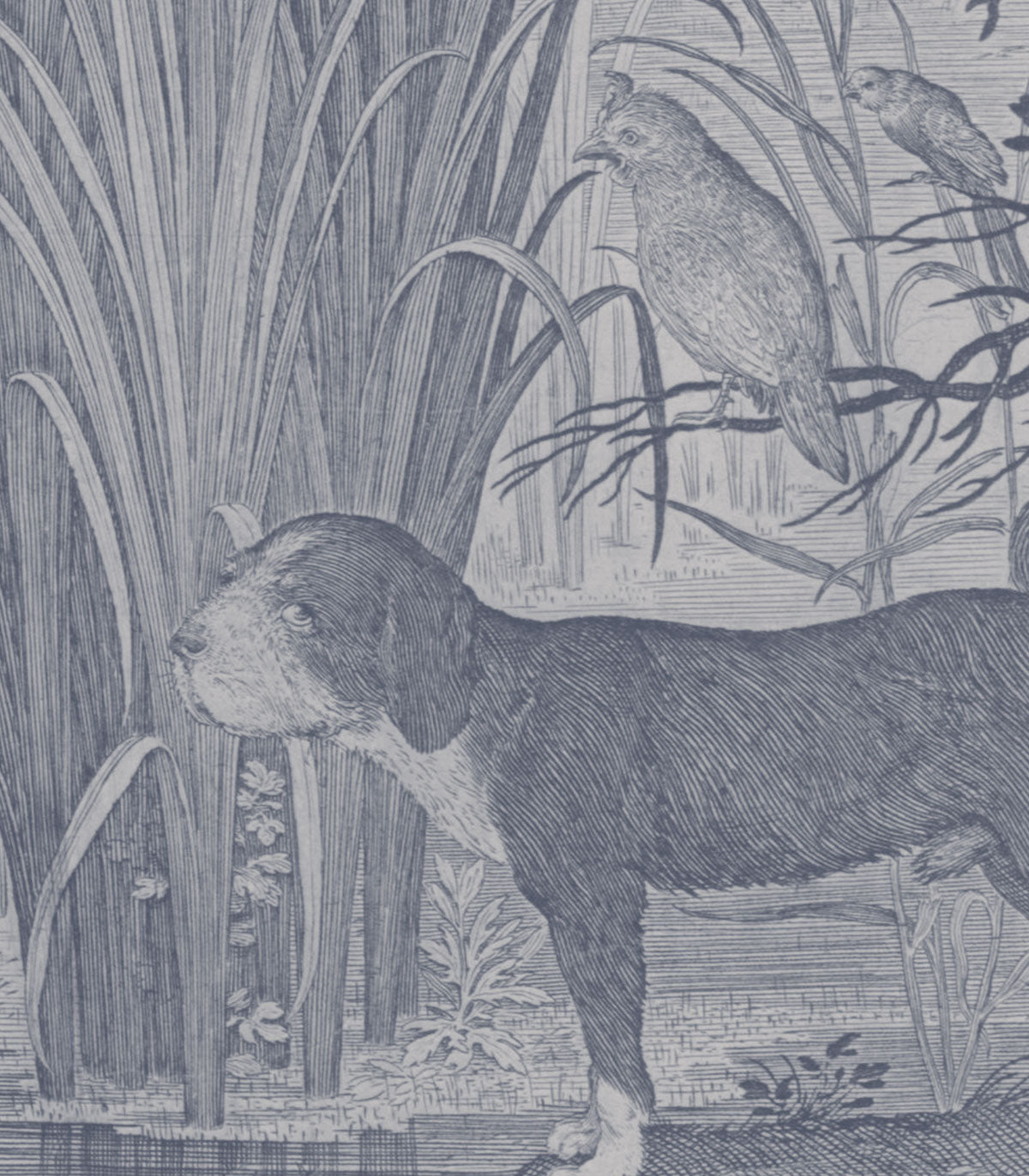 Tapeta Fauna Fresco Blue