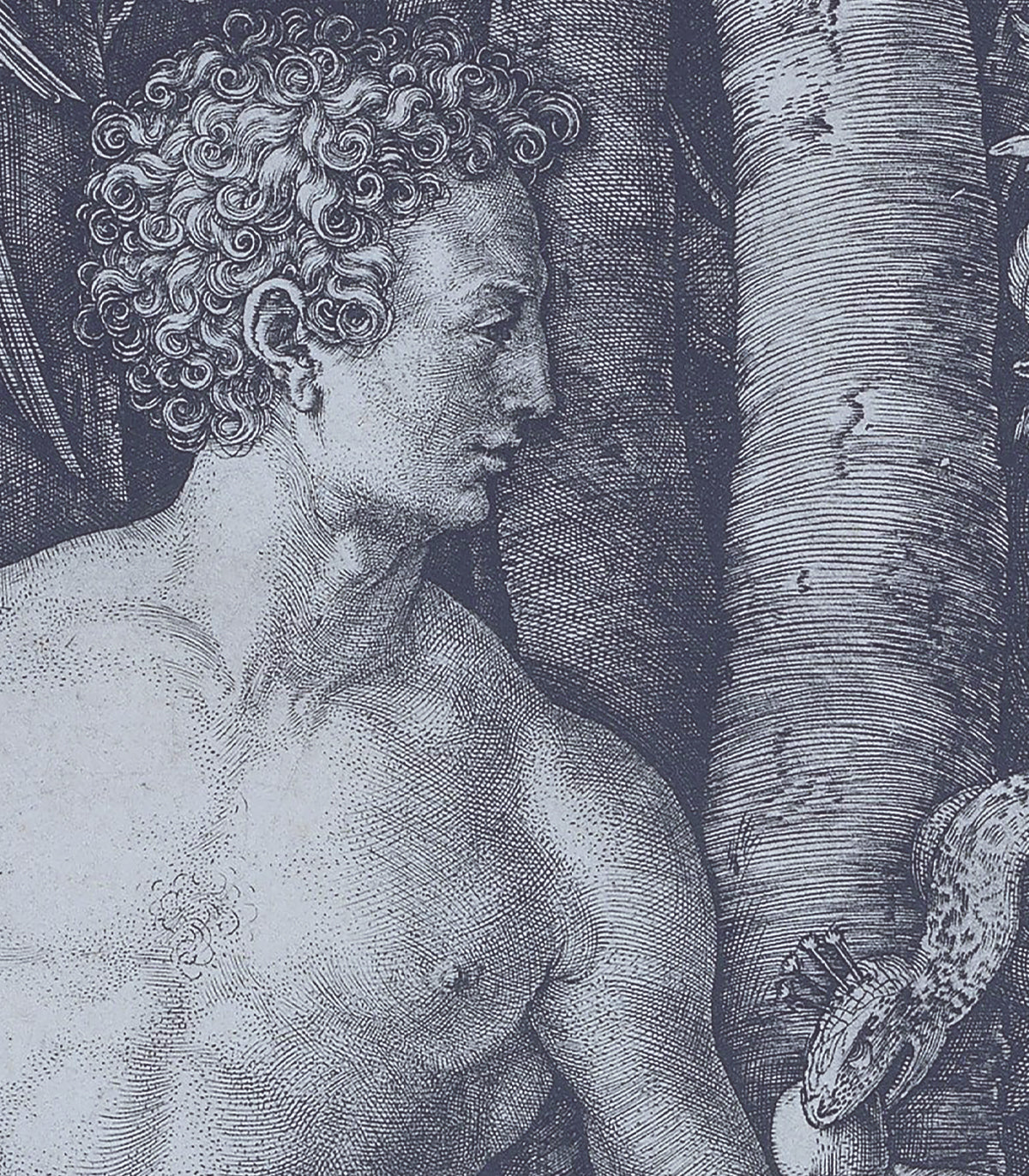 Dots Forbidden fruit