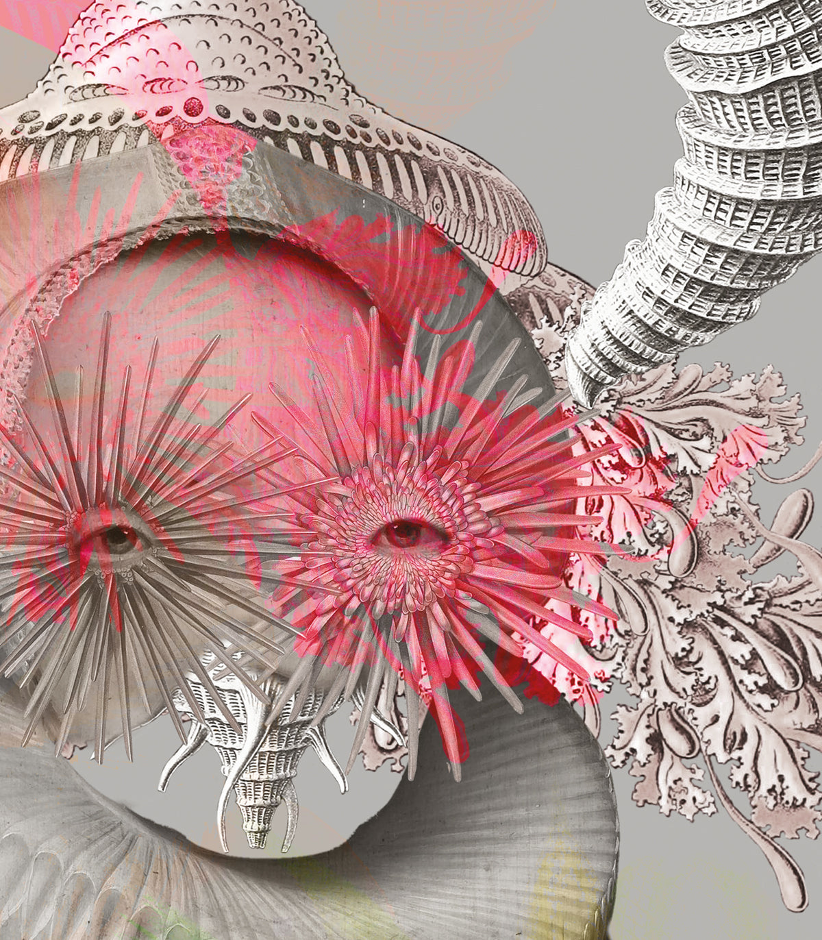 Dots Lady Medusa Gray