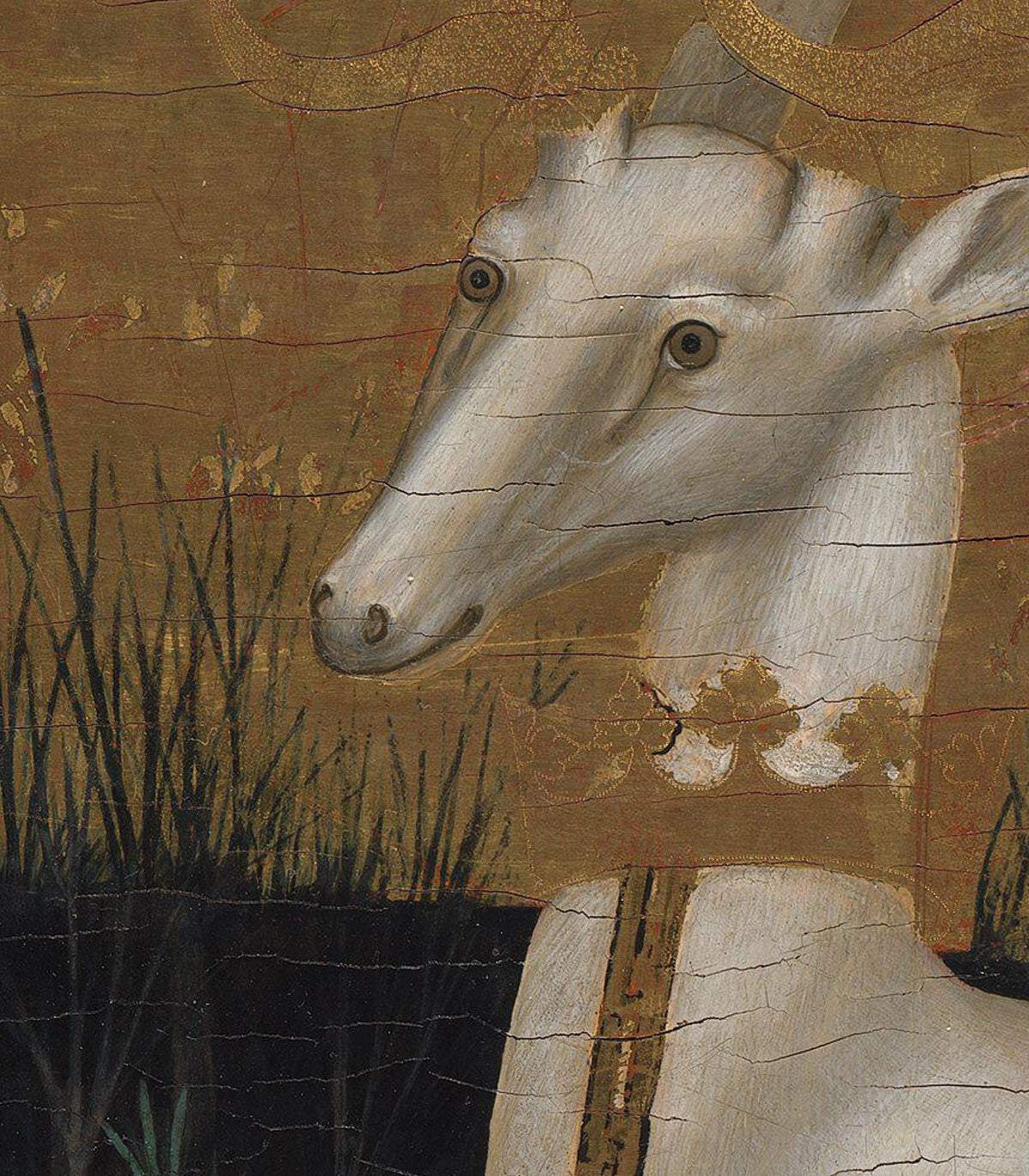 Tapeta Majestic Rest