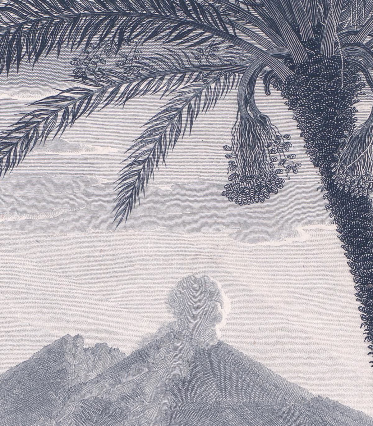 Arch Tropical Volcano Vista blue