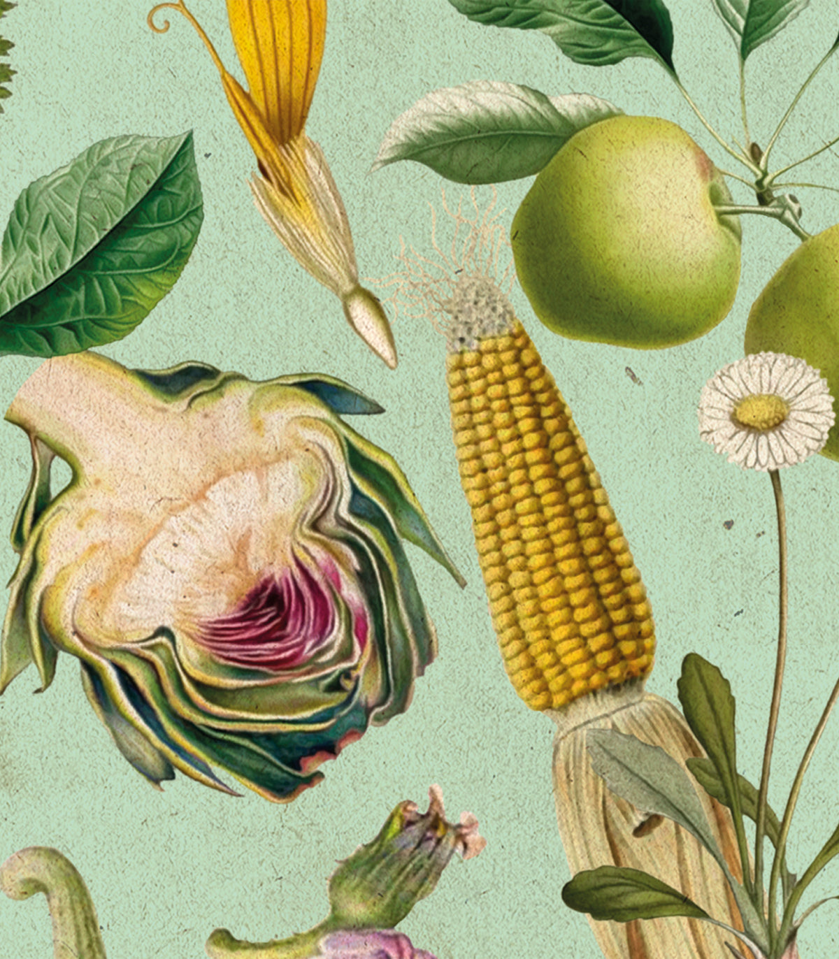 Vegatable Yields Wallpaper