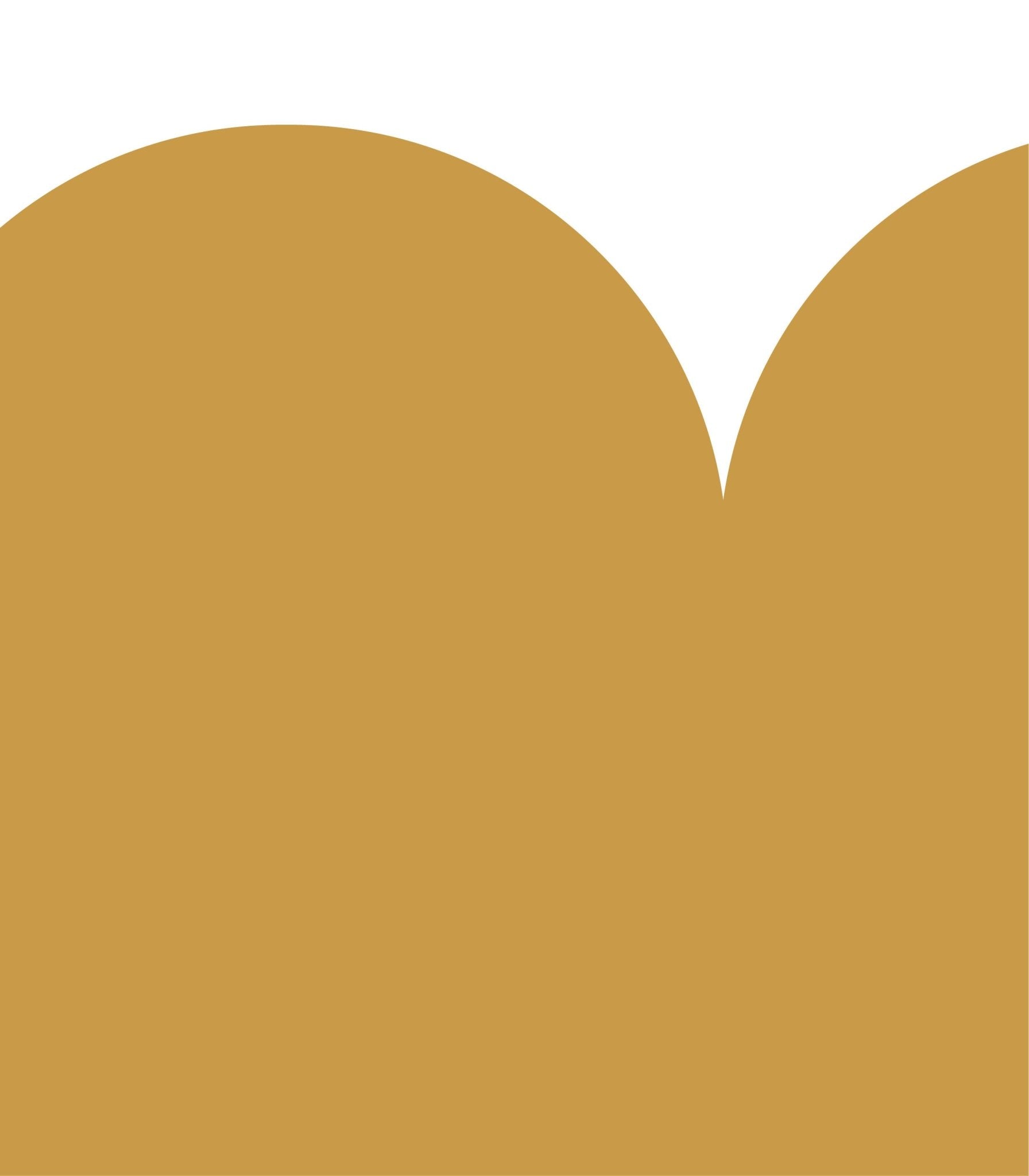 Wainscoting Solid Dark - Wallcolors®