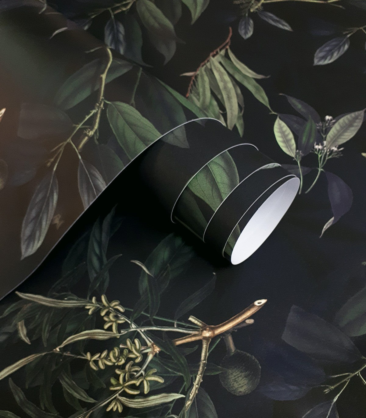 Tapeta Olive Branch Green